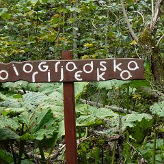 07 Pause - Nationalpark Biogradska Gora