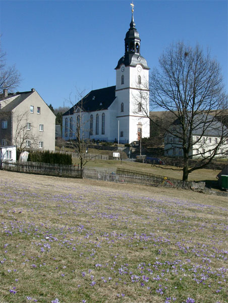 Krokuswiese